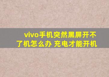 vivo手机突然黑屏开不了机怎么办 充电才能开机